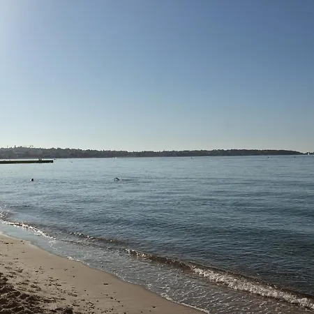 Appartamento 2p 42m² Terrasse / Piscine / Clim / !