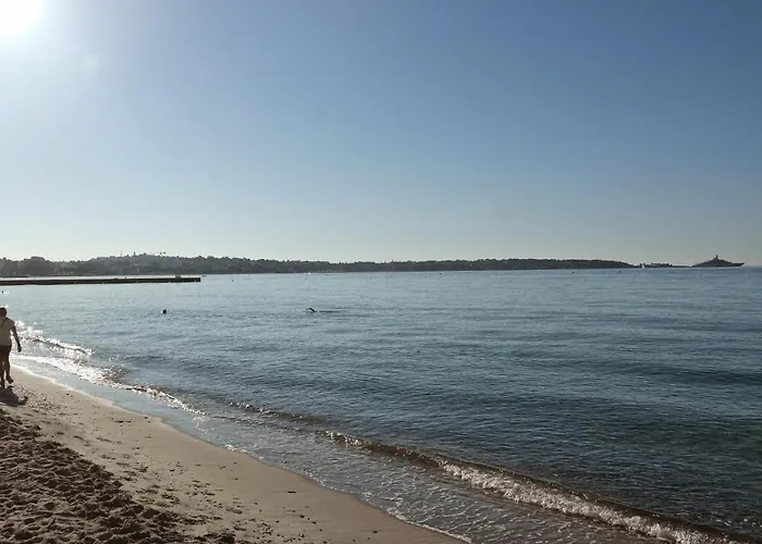 Appartamento 2p 42m² Terrasse / Piscine / Clim / !